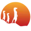 Tool Suricata